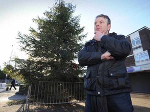 Supporting image for story: How the vandals stole Christmas