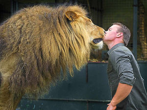 Supporting image for story: Protesters hit out over big cat show as circus comes to Welshpool