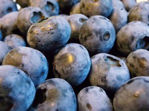 Supporting image for story: Blueberries help to lower blood pressure, scientists claim
