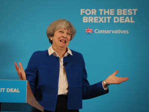 Please stop trolling me, electorate