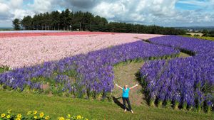 Alannah Evitts with the spectacular Shropshire Petal Fields backdrop.