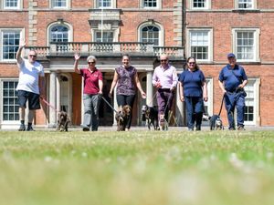 Supporting image for story: Charity dog walk coming to Weston Park