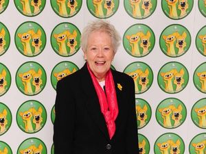 Supporting image for story