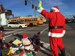 Supporting image for story: Hundreds of people have been to see a roadside weed decorated for Christmas