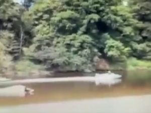 Supporting image for story: 'This is not okay' - Waterskiers films tearing along River Severn in Shrewsbury