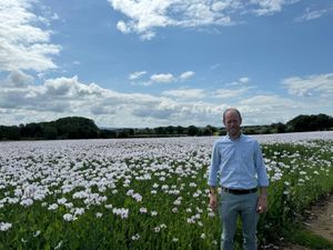 Supporting image for story: Shropshire Farming Talk: Glyphosate Resistance in the UK - a growing concern