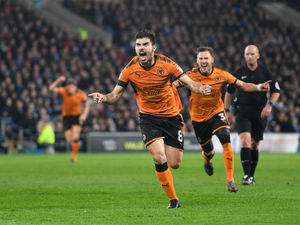 Supporting image for story: Cardiff City 0 Wolves 1 – Report