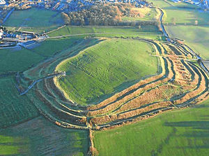 Supporting image for story: Planning review 'is helping hillfort fight'