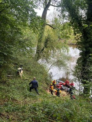 The cow being rescued on Sunday (picture: SFRS)