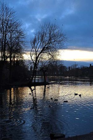 View over the arboretum lake by Alyson Hughes