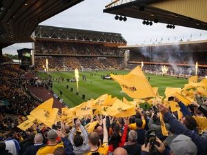 Supporting image for story: 'Best football at Molineux for decades': Wolves fans celebrate old golden year