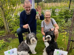 Supporting image for story: Care home enjoys show day with man's best friend