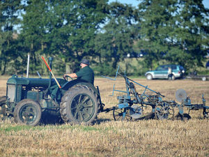 Supporting image for story: British National Ploughing Championships attracts 8,000 visitors