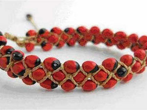 Supporting image for story: Deadly Jequirity bracelet warning is sent out to parents