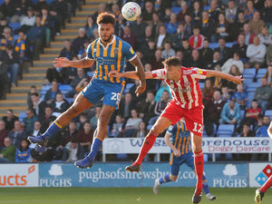 Supporting image for story: Shrewsbury Town 0 Sunderland 2 - Report and pictures