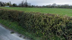 Outline plans have been submitted to build 30 homes on land off Church Lane in St Martins. Picture: Google