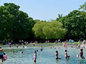 Supporting image for story: Tettenhall Pool will stay open as residents reject outdoor gym