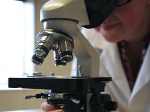 Supporting image for story: Heart disease imaging technique may also spot aggressive cancers – study