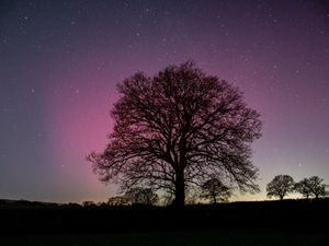 Supporting image for story: Heads up! Chance of seeing the Northern Lights in Shropshire tonight say scientists