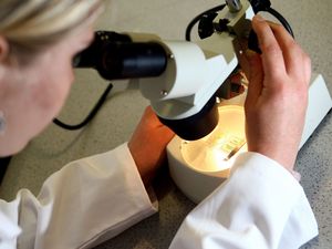 Supporting image for story: Supercomputers could be answer to greatest threat to human health