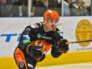 Supporting image for story: Telford Tigers chasing another double