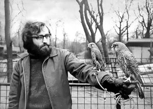 Senior bird keeper at Dudley Zoo, Robin Whitewood, was trying to breed a pair of kestrels at his home Somers Road, Dudley, when this photograph was taken in January, 1974.