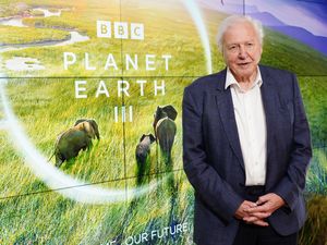 Supporting image for story: Sir David Attenborough says children need more opportunities to observe nature