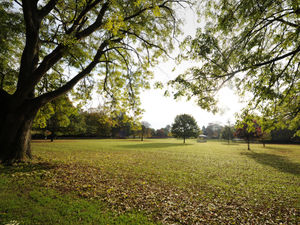 Supporting image for story: Family fun in the park