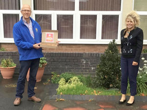 Supporting image for story: Crocus bulbs presentation