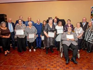 Supporting image for story: Foster carers in Dudley brought together for celebratory event