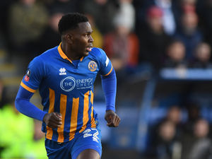 Supporting image for story: Toto Nsiala couldn't resist as he re-unites with Shrewsbury boss Paul Hurst