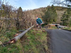 Supporting image for story: Homes still without landline and internet connections after telegraph pole crash
