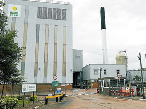 Supporting image for story: Growth in cheese and spreads leads to Dairy Crest sales rise