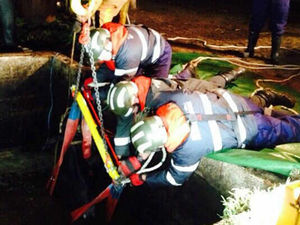 Supporting image for story: Firefighters rescue cow from Shropshire farm slurry pit