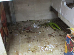 Supporting image for story: Lye butchers temporarily shut down after council officers find evidence of rats - firm issued with fine