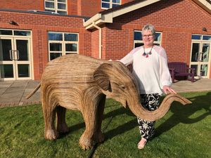 Supporting image for story: Humphrey the elephant makes unforgettable gift for hospice