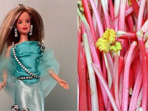 Supporting image for story: 12 wonderful but useless pieces of information people have stored in their heads