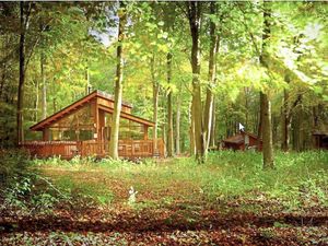 Supporting image for story: MP Philip Dunne holds talks on future of Mortimer Forest 