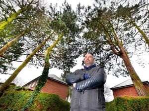 Supporting image for story: Bill Etheridge: Dudley Council not doing enough to cut back trees