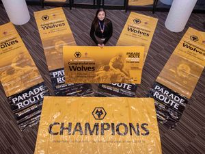 Supporting image for story: Charity auction sees items from Wolves Promotion Parade up for sale