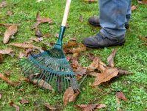 Supporting image for story: Last few weeks of garden waste collections in Powys for 2024