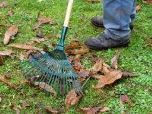 Supporting image for story: Last few weeks of garden waste collections in Powys for 2024