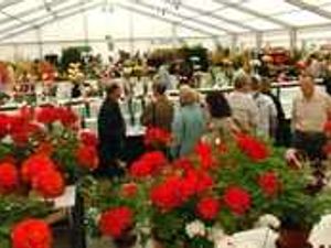 Supporting image for story: Letter: Show is just for well-off