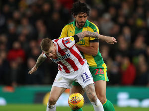 Supporting image for story: Ahmed Hegazi targeting more clean sheets with West Brom