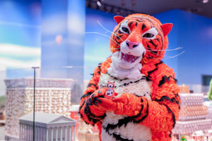 The tiger model and the Town Hall show's tiger