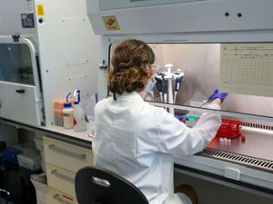 Supporting image for story: Deaths involving Covid-19 in the UK pass 68,000