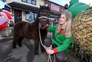 Shannon Brazier, with Delilah the horse Tommy would ride on.