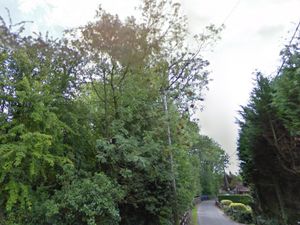 Supporting image for story: Inspector orders builders’ yard owner to clear site near Newport