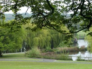 Supporting image for story: UEFA women’s Euro final to be shown on big screen at Sandwell park