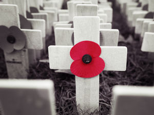 Supporting image for story: Legion's warning as Covid crisis set to decimate Poppy Appeal